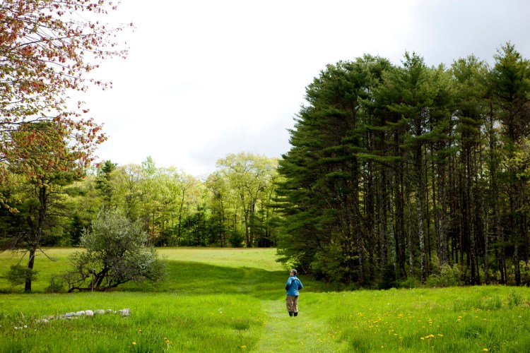 A birder pauses at Pettengill Farm in Freeport on a walk that's part of the L.L. Bean-Maine Audubon Birding Festival in 2018. Photo courtesty of Maine Audubon.