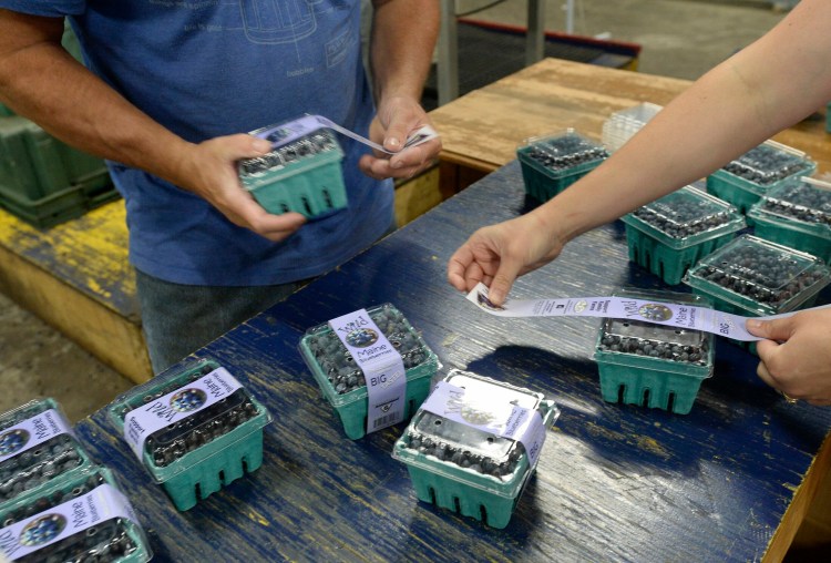 Workers package and label blueberries in Baring last August. A legislative committee  endorsed expanding the the Wild Blueberries Commission of Maine to better represent growers on Thursday. 