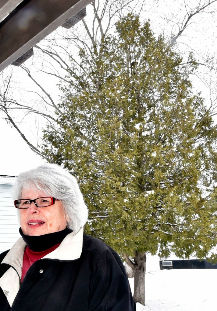 Christine Conte was frantic to get her cat Bubba, perched 25 feet up a cedar tree after 36 hours, background, in Skowhegan. 