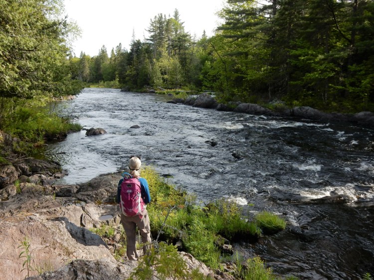 A hiker enjoys the view along the Seboeis River Trail.