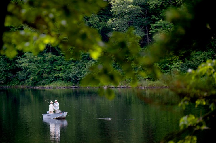 Two anglers try to hook a fish while fly fishing the Kennebec River in Skowhegan on Aug. 17, 2018. 