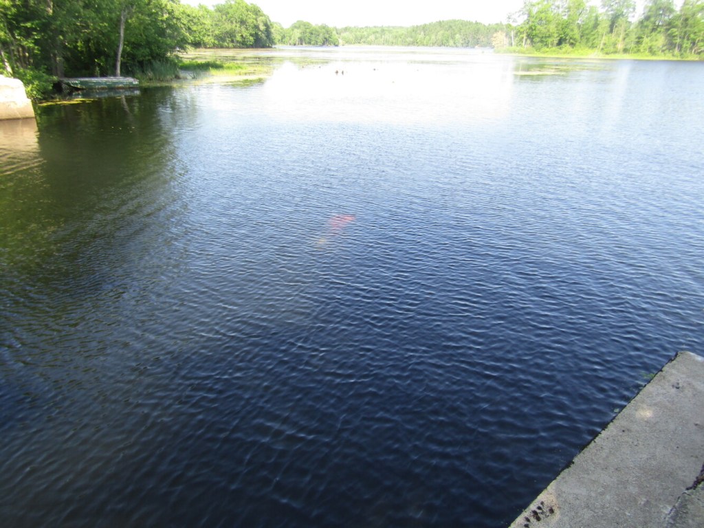 A 2005 Pontiac sits in Cobboseecontee Stream after crashing just before the Litchfield/West Gardiner line on Friday. The operator of the vehicle, 33-year-old Rebecca Sanders of Sabattus, was taken to the hospital with minor injuries.