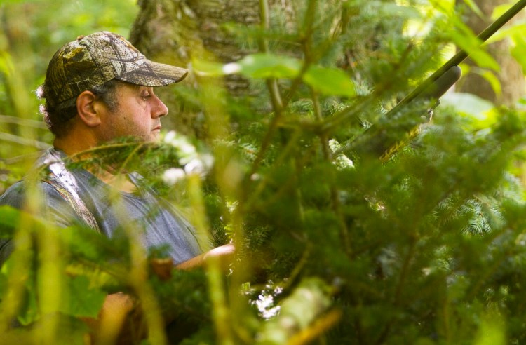 A hunter sits in a blind near a bear bait site in Weld.