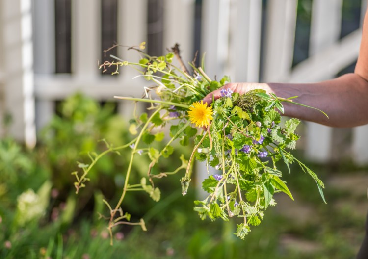 Weeding is a Sisyphean task, but it'll pay dividends in your garden. 