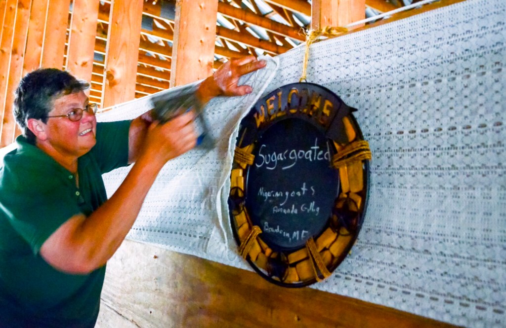 Ramona Stinson staples cloth around signs in a livestock barn at the Litchfield Fair on Wednesday. She said that they were putting the sign and decorations up so high because if they didn't their goats might eat them.