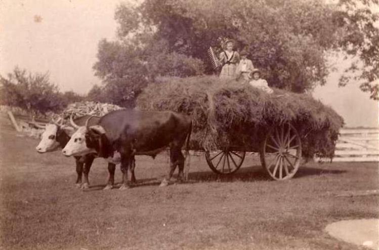 Three children from the Fogg family riding on a newly harvested load of hay in 1890 at the Fogg Homestead, Readfield. The wagon is being hauled by Samuel Gove Fogg’s prize-winning Herefords. A presentation by Dale Potter-Clark about living, working and socializing in Readfield during the 19th century will be held from 6:30 to 8 p.m. Oct. 16, sponsored by  Maranacook Adult and Community Education.