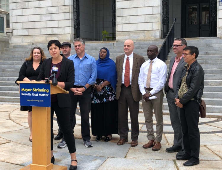 From left, former state Rep. Diane Russell, school board member Emily Figdor, state Rep. Benjamin Collings, Mayor Ethan Strimling, South Portland City Councilor Deqa Dhalac, South Portland Mayor Claude Morgan, City Councilor Pious Ali, state Rep. Michael Sylvester, former state Rep. Eliza Townsend.
