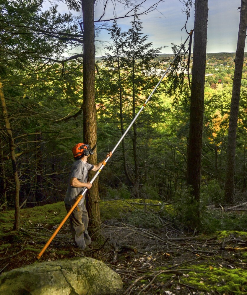 Tyler Keniston, Kennebec Land Trust stewardship assistant, cuts branches Tuesday to open of view of Maine State House in the Howard Hill Historical Park in Augusta.