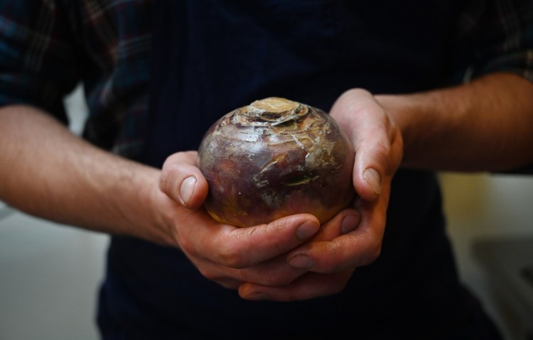 Looking for an adventure while you are stuck at home? Try cooking a rutabaga. 