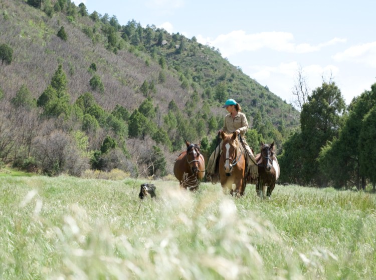 Maine native Maddy Butcher of Mancos, Colorado, is the founder of the Best Horse Practices Summit, which later this month is coming to Maine for the first time.