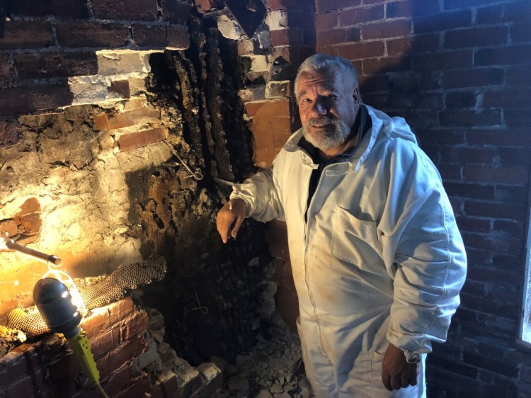 Beekeeper Larry Davis pictured with the beehive he extracted from a wall in the Erskine Building at Stevens Commons last week.