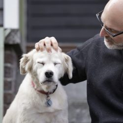 Daniel Promislow, Frisbee