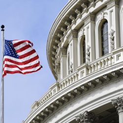 Capitol Hill flag