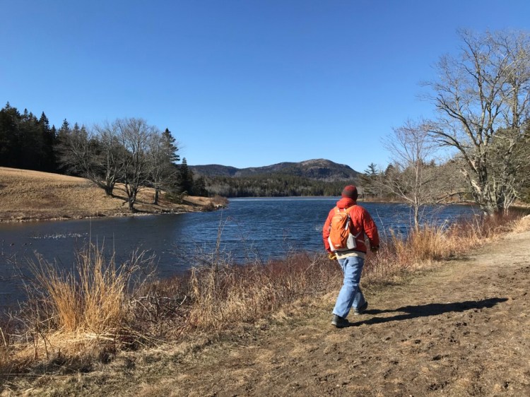 Columnist Carey Kish takes a social distancing hike recently at the Land and Garden Preserve on Mount Desert Island.