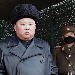 North_Korea_Kim_Health_58060