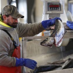 Virus_Outbreak_Seafood_Industry_20547