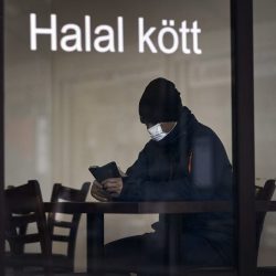 Virus_Outbreak_Sweden_Migrants_77567