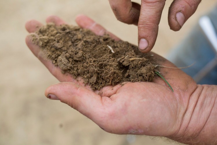 Segments of Maine, including Cumberland and York counties last experienced a drought in 2016 when this photo was shot. A small rancher held a parched soil sample from his land in Durham. The entire six inches of soil was like powder.