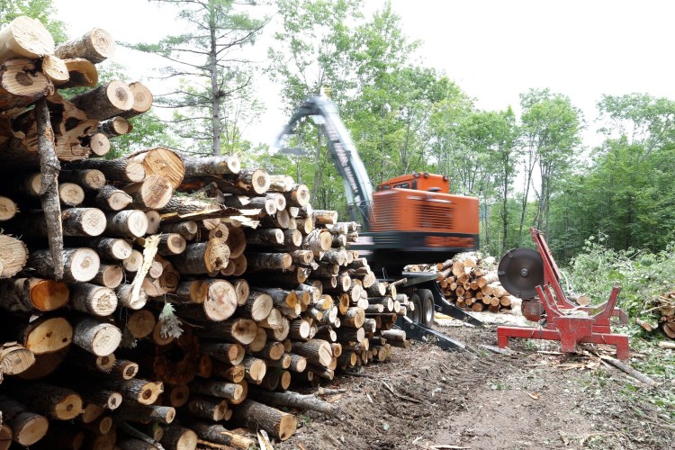 MECHANIC FALLS, ME - JULY 16: Randy Kimball, of Kimball & Sons Logging and Trucking, swings a crane in a small woodlot in Mechanic Falls on Thursday. The logging industry in Maine faces challenges from low prices, diminished demand and a pending shutdown of a machine in Westbrook. Staff photo by Ben McCanna/Staff Photographer)
