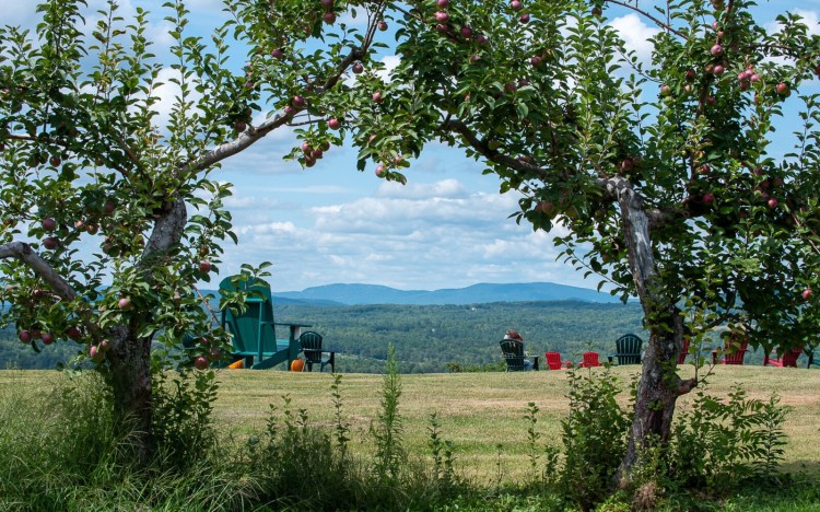 It's hard to beat the view at Ricker Hill Orchards in Turner. 