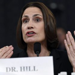 Fiona Hill, David Holmes