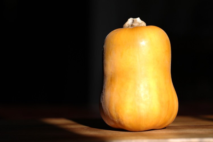 BRUNSWICK, ME - OCTOBER 15: A honeynut squash. (Staff photo by Ben McCanna/Staff Photographer)