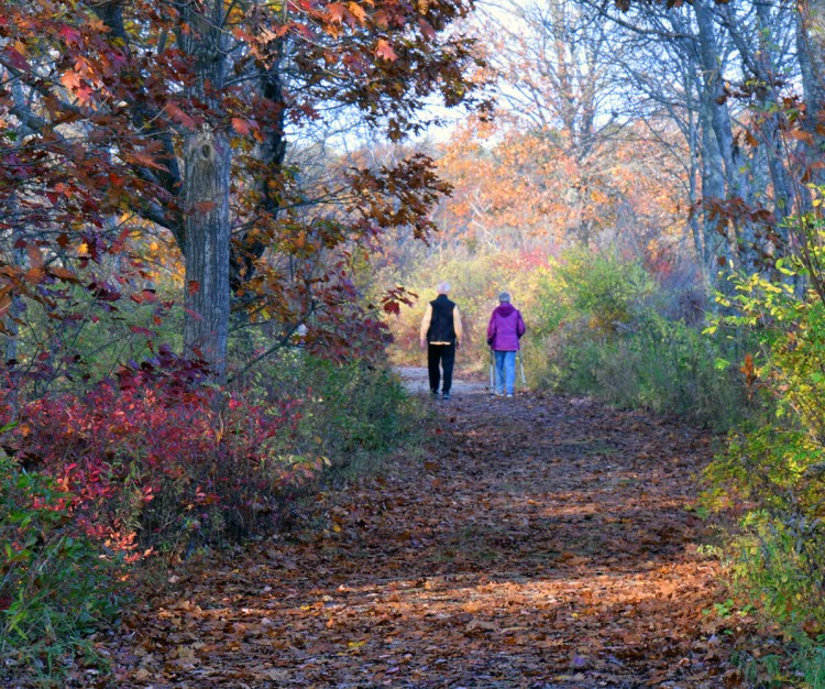 Walking at Rachel Carson National WIldlife Refuge in Biddeford. 