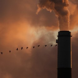 Baked_In_Warming_52769