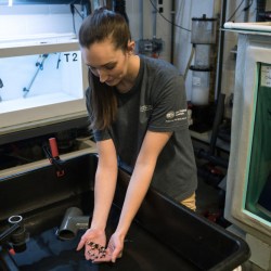 Baby_Sharks-Warming_Oceans_83848