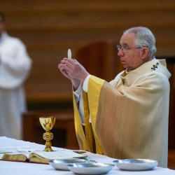 Jose H. Gomez, Los Angeles Archbishop Jose H. Gomez
