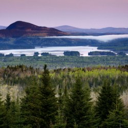 Environmentalist_Conflict_27293