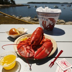 Lobster_Prices_80659