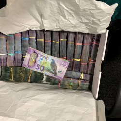 New_Zealand_FBI_App_Sting_92456