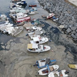 Turkey_Environment_21404