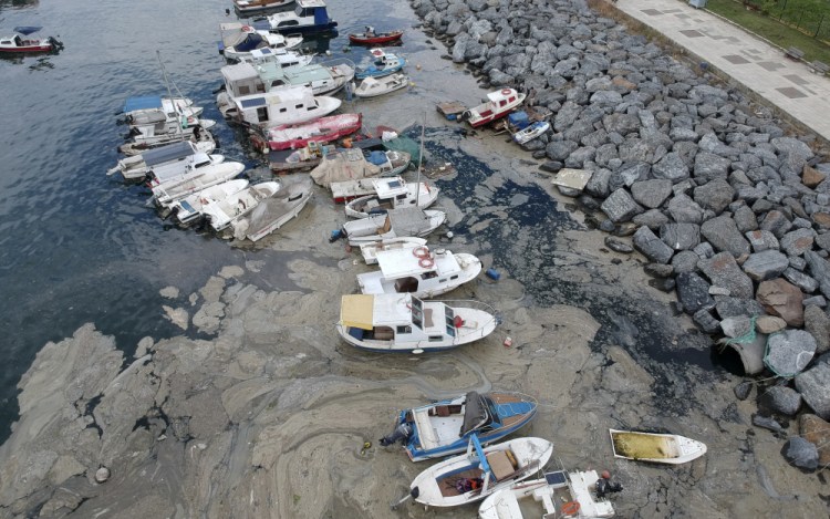 An aerial photo of Pendik port in Istanbul taken June 4 shows with a huge mass of marine mucilage, a thick, slimy substance made up of compounds released by marine organisms, in Turkey's Marmara Sea. 