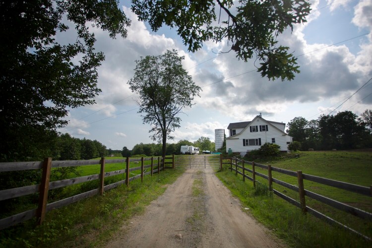 SANFORD, ME - JULY 15: State officials seized twenty horses and a variety of other animals from a small farm in the Springvale section of Sanford Wednesday. Town officials said they had received numerous complaints about the condition of the horses and the property. Renters of the property had been rescuing animals and caring for them, according to town officials. (Staff photo by Derek Davis/Staff Photographer)