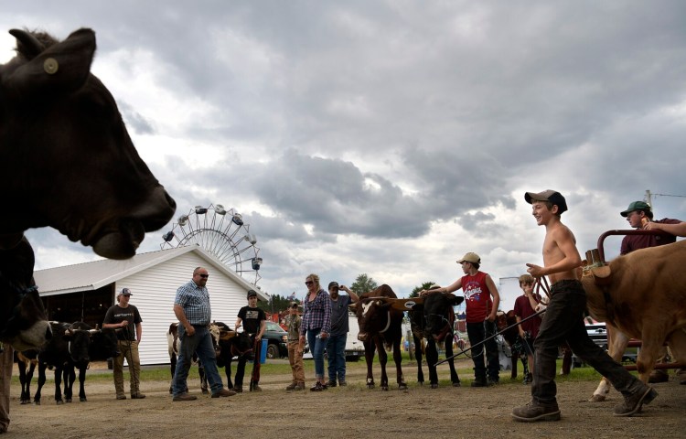 Dylan Farrington, 13, of Jay, right, gives a thumbs-up after his team hauled 550 pounds during a pulling competition at the Pittston Fair in 2021. 