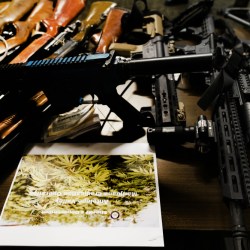 Illegal Pot Crackdown