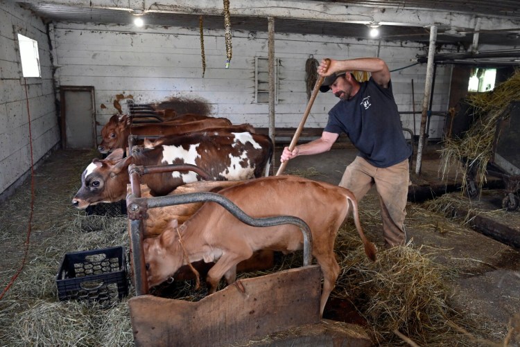 The Bragg Homestead, a family-run organic dairy farm in Sidney. In August, a multinational heavyweight in the dairy industry informed 14 Maine organic milk producers including Bragg Homestead that it is leaving the New England marketplace to save costs. Columnist Avery Yale Kamila argues that Maine's dairy farmers should transition to plant-based proteins.