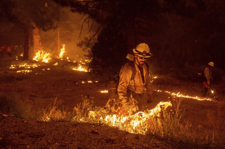 While battling the Caldor fire, firefighters burn vegetation to create a control line along Highway 50 in Eldorado National Forest, Calif., on Thursday. 