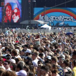 Cannabis Sales Illinois Lollapalooza