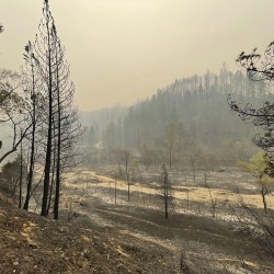 Western Wildfires