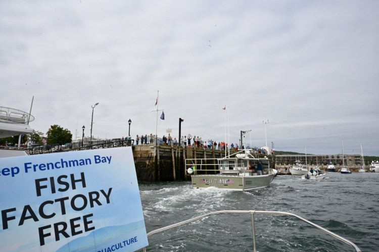 The "Save the Bay” flotilla in protest of an industrial salmon farm passed by the Bar Harbor town pier, where people holding signs against the proposed fish farm were gathered, in August, 2021