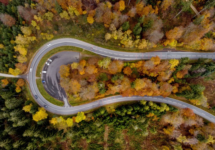 Colorful trees surround a road near the Taunus mountain range on Tuesday in Frankfurt, Germany. More than 100 countries are pledging to end deforestation.
