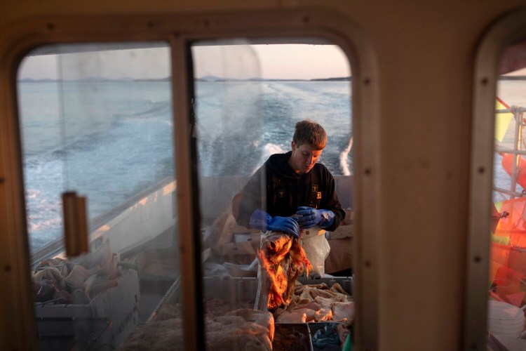 Tanner Lazaro broke apart frozen bait while working as a sternman on Frankie Thompson's boat Obsession on July 24. Most days in the summer, 15-year old Tanner is up early to go to work on the back of a boat. It is how the Vinalhaven native has always spent his time away from school.