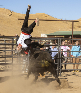 Film Review - Jackass Forever