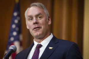 Zinke Investigation