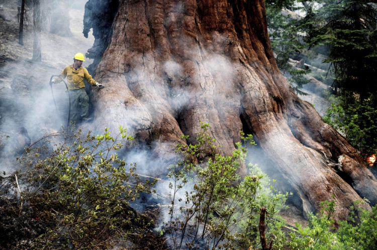 California Wildfires