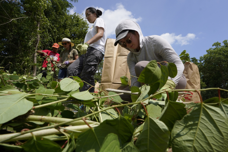 Restoring Native Lands