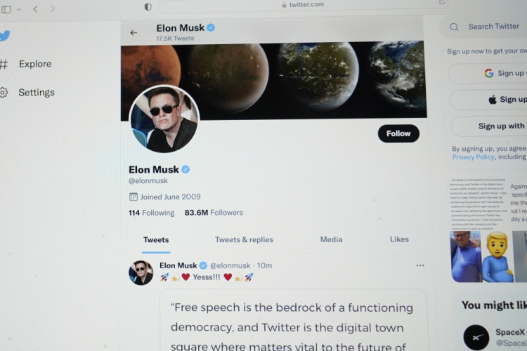 Musk-Twitter-Blue Check Blues